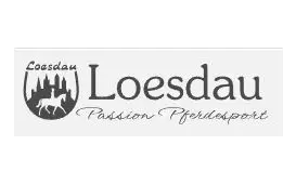 Logo-Loesdau