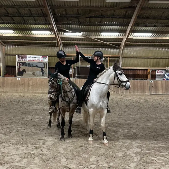 🎄Weihnachtsfeier 2024🎄

Unsere Weihnachtsfeier gestern war ein voller Erfolg mit abwechslungsreichem Programm.
Die ganze Halle war voll und es wurde gemeinsam Zeit verbracht.

Als erstes am Abend gab es ein Quadrille mit sechs Pferden zusehen und danach zeigte @hollie_xyx22 dem Publikum was ihre Hunde alles so können.
Danach gab es eine weitere Quadrille von @manus_ponyparadies und ihren Mädels.
@pummelpony_prosi verzaubert danach die Halle mit der Kunst der Freiarbeit.
Anschließend packten alle mit an und bauten den Parcour des Trail and Dog auf.
In der Kategorie der kleinen machte das kleinste Pony, die kleinsten Mädels und der kleinste Hund Platz 🥇&🥈.
Danach durften auch nochmal die großen zeigen was sie konnten. Das Publikum fieberte bei jedem Hindernis ordentlich mit und es war eine tolle Stimmung in der Halle.
Hier konnten sich Leti auf Olivia und Melissa mit Maja als läufer Platz eins sichern. Mit einer Sekunde Unterschied sicherte sich Melissa auf Prinz und Leti mit Maja als Läufer Platz zwei. Während der Siegerehrung war bei allen richtig gute Laune🩷.
Zu guter Letzt kamen noch zwei Gehilfen vom Nikolaus mit ihrem Weihnachtspony vorbei und brachten den Kindern ein paar Geschenke🎁.

Wir bedanken uns bei allen die da waren und geholfen haben so einen tollen Abend möglich zu machen.