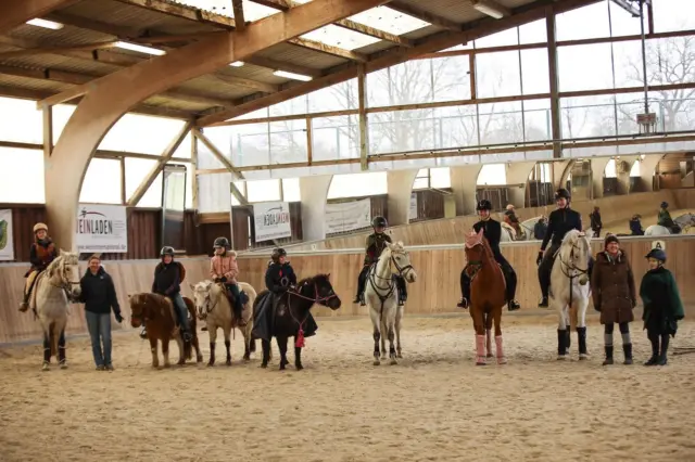 🎉Faschingsreiten 2025🎉

Am 16.2 trafen sich 8 verkleidete Teams in der Halle und es waren jede Menge schöne Kostümierungen dabei, von Cowboys🤠 über Einhörner 🦄 bis zu Feen 🧚 - die Ponys waren natürlich passend zu den Kostümen ihrer Reiter schick gemacht.

Anfangs durfte sich jeder mit allen Hindernissen bekannt machen. Zu den Hindernissen gehörten unteranderem ein Slalom, ein Flatterbandtor und eine Wippe. Alle Ponys haben das Abteilungsreiten im Schritt, sowie Trab super geschafft.

Es war ein sehr schöner Vormittag und wir bedanken uns bei den tollen Reitern und Ponys und allen die sich um die Organisation gekümmert haben💕.