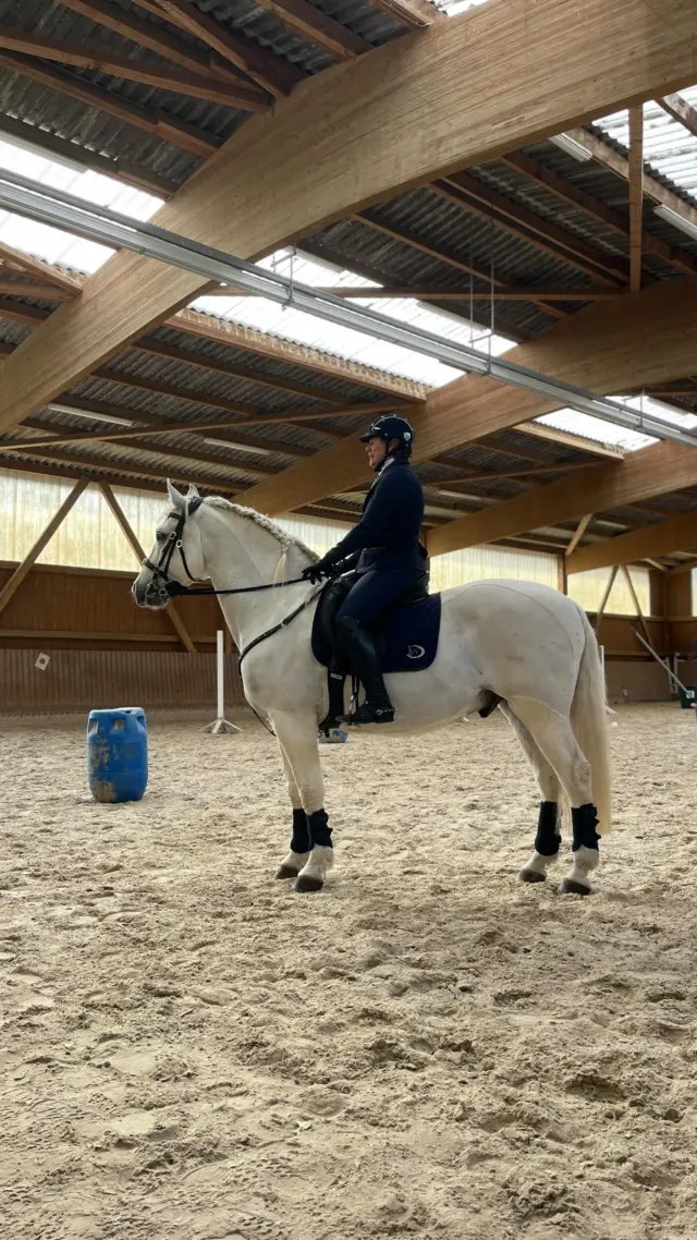 🩶WORKING EQUITATION🩶

Die Kunst der Working Equitation fand an diesem Wochenende in unserer Vereinshalle statt.

Gestern gab es eine Trainingseinheit bei @pennylane0505 und heute zusätzlich um 12:45 Uhr ein kleines Trainingsturnier von der Klasse E bis L.

Jeder Teilnehmer hatte, nachdem er seine Prüfung geritten ist, eine Feedbackrunde mit einem Richter. Anschließend wurden die Fehler nochmal verbessert. Natürlich hat jeder ein Schleifchen 🎀 und ein kleines Geschenk von  @gurbe.urfutter erhalten.

Ein tolles und lehrreiches Wochenende geht nun zu Ende. Wir bedanken uns bei jedem der als Teilnehmer dabei war und an alle die fleißig geholfen haben.

#reitturnier #reitverein #rfv_rossdorf_ #horses #workingequitation
