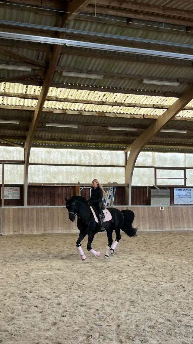 💡𝐋𝐞𝐡𝐫𝐠𝐚𝐧𝐠 𝐑𝐞𝐜𝐚𝐩 𝐛𝐞𝐢 𝐌𝐚𝐫𝐢𝐨 𝐒𝐭𝐫𝐮𝐜𝐤💡

Dieses Wochenende fand auf unserer Reitanlage ein intensiver und lehrreicher Dressurlehrgang mit Mario Struck statt. Reiterinnen und Reiter aller Leistungsklassen hatten die Möglichkeit, unter professioneller Anleitung an Feinheiten ihrer Reitweise zu arbeiten und gezielte Hilfengebung sowie korrekte Bewegungsabläufe zu verbessern.

In Einzelstunden ging Mario individuell auf jedes Pferd-Reiter-Paar ein, legte den Fokus je nach Ausbildungsstand auf Themen wie Losgelassenheit, Anlehnung, Versammlung oder auch die korrekte Ausführung einzelner Lektionen. Besonders wertvoll waren die präzisen Korrekturen und das fundierte Feedback, das allen Teilnehmenden neue Impulse für das tägliche Training mitgab.

Ein großes Dankeschön geht an alle Organisatoren die für eine perfekte Wohlfühlatmosphäre sorgten – sowie natürlich an Mario Struck für die inspirierenden Einheiten! Wir freuen uns schon auf eine Wiederholung!